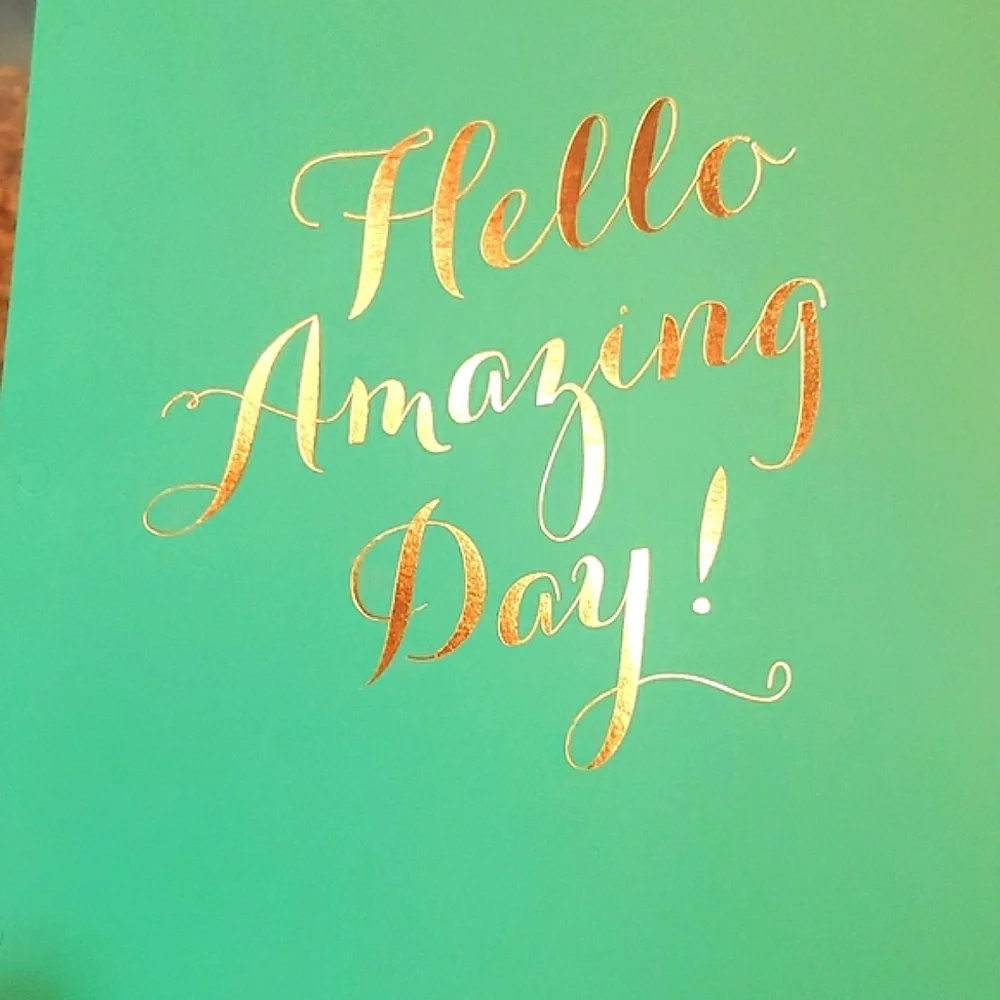 28 HELLO AMAZING DAY BACK TO SCHOOL FOLDERS GREEN SILVER GOLD NEW